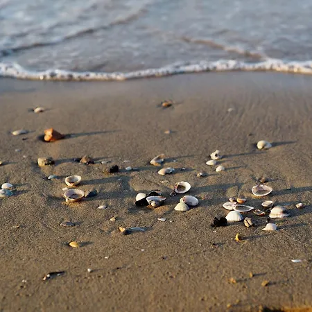 Adorable With Balcony - Beahost アパート